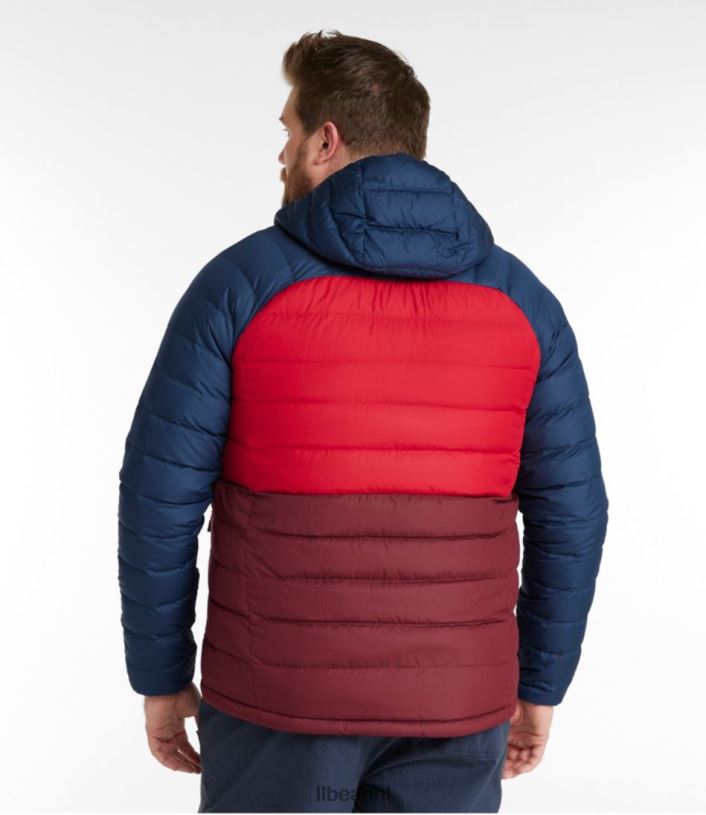L.L.Bean Heren donsjack met capuchon bordeaux/nautische marine bovenkleding VT064913 - Image 6