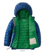 L.L.Bean kinderen Primaloft jack met capuchon collegiaal blauw/gazongroen bovenkleding VT0643694 - Image 5