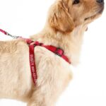 L.L.Bean unisex gepersonaliseerd huisdierharnas rood huis goederen VT0641591