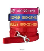 L.L.Bean unisex gepersonaliseerde hondenriem rood huis goederen VT0641594 - Image 2