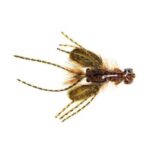 L.L.Bean unisex Hada's kreekcrawler olijf vissen VT0644141