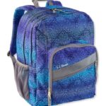 L.L.Bean unisex luxe boekenpakket maagdenpalm hemel chevron accessoires VT0645431