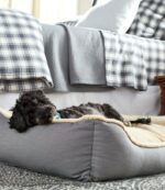 L.L.Bean unisex premium knuffelkussen hondenbed platina huis goederen VT0643946 - Image 6