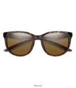 L.L.Bean unisex Smith Lake Shasta chromapop zonnebril met gepolariseerde spiegel schildpad/poolbruin accessoires voor buiten VT064814 - Image 2