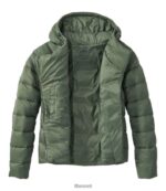 L.L.Bean vrouwen grenzeloos donsjack tijm bovenkleding VT0646673 - Image 5